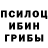 Псилоцибиновые грибы мицелий Larina Avseeva