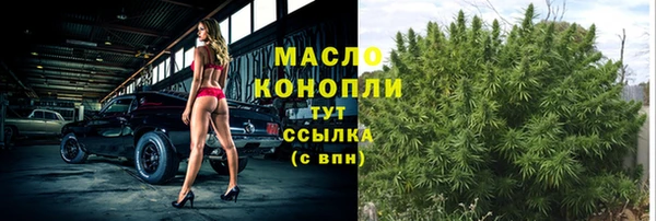 молекула духа Богданович