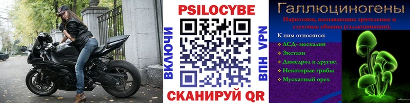 Псилоцибиновые грибы Cubensis  где продают   Белоусово 
